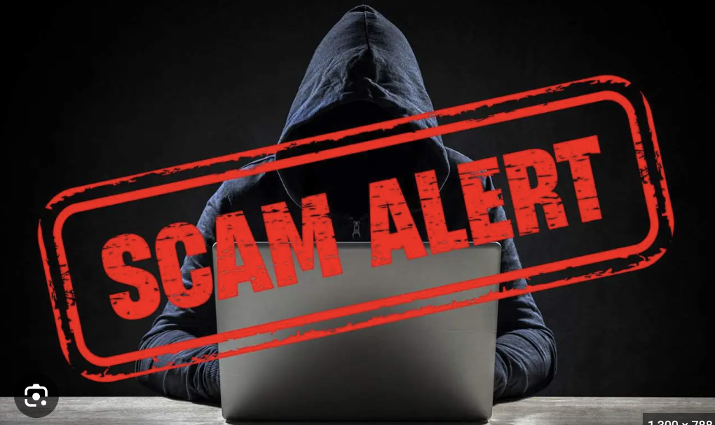 Vertexfinancialestates.org Exposed